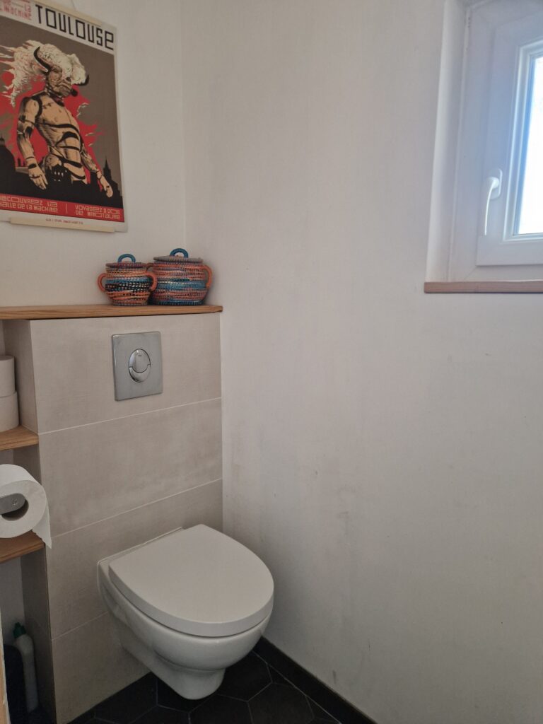 Des toilettes suspendues modernes et lumineuses, décorées avec soin.